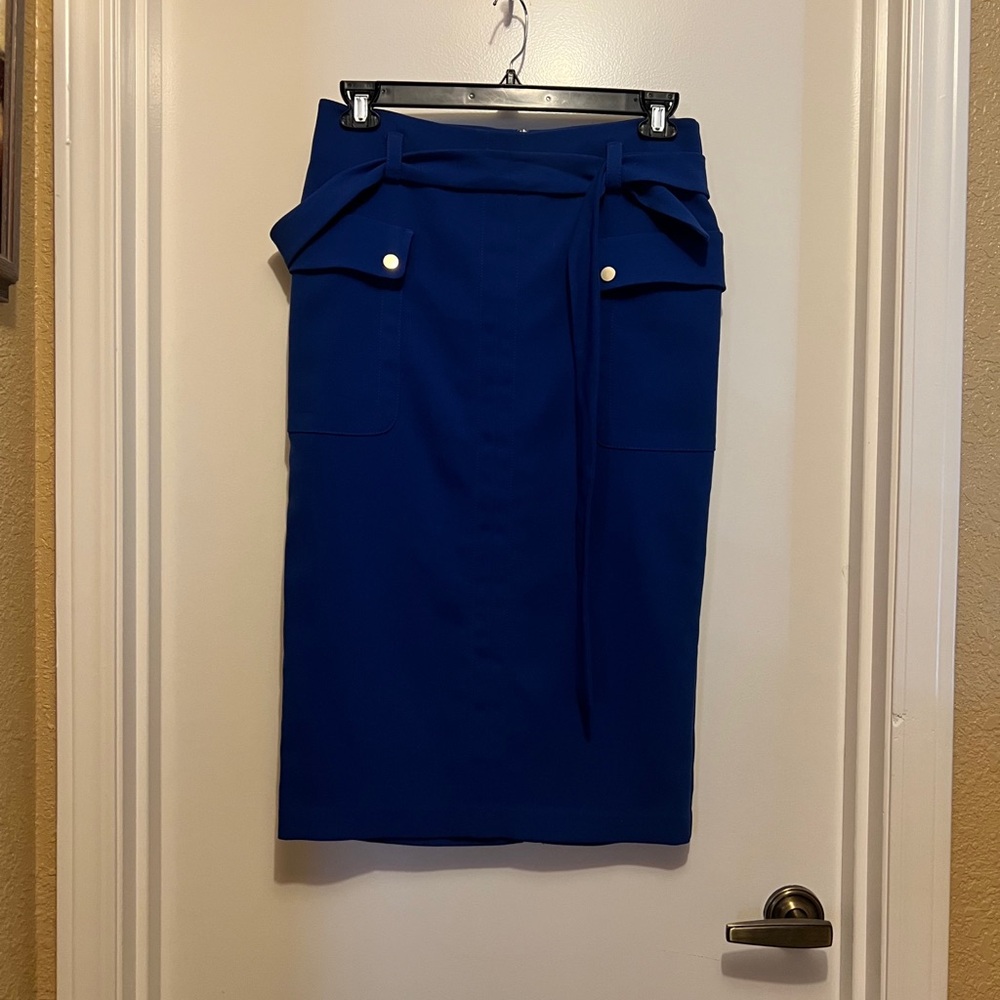 Elegant Blue Women's Skirt